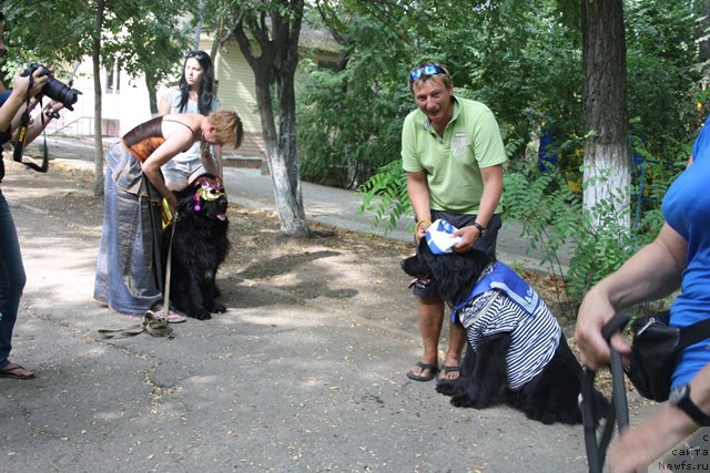 Фотография № 185792