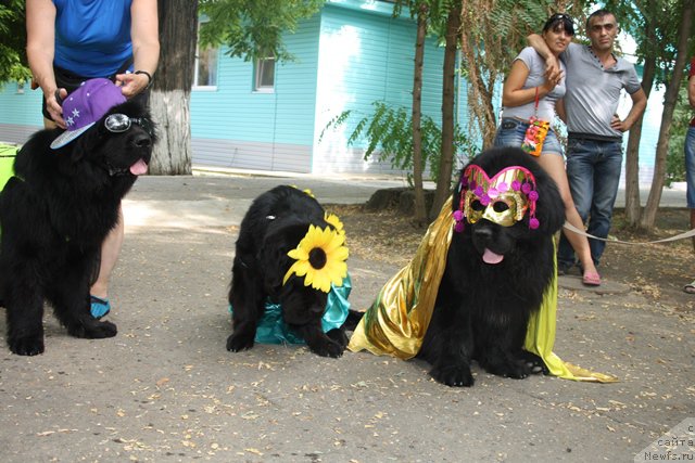 Фотография № 185795