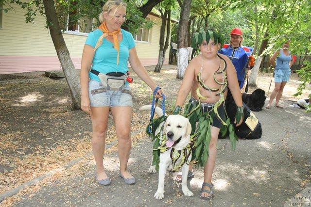 Фотография № 185798