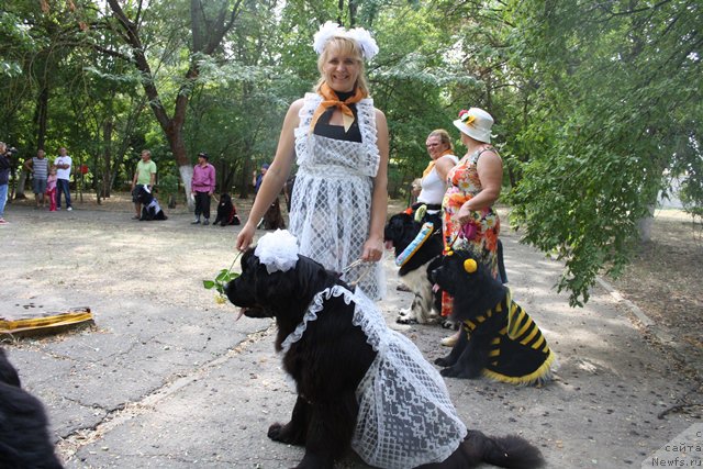 Фотография № 185801