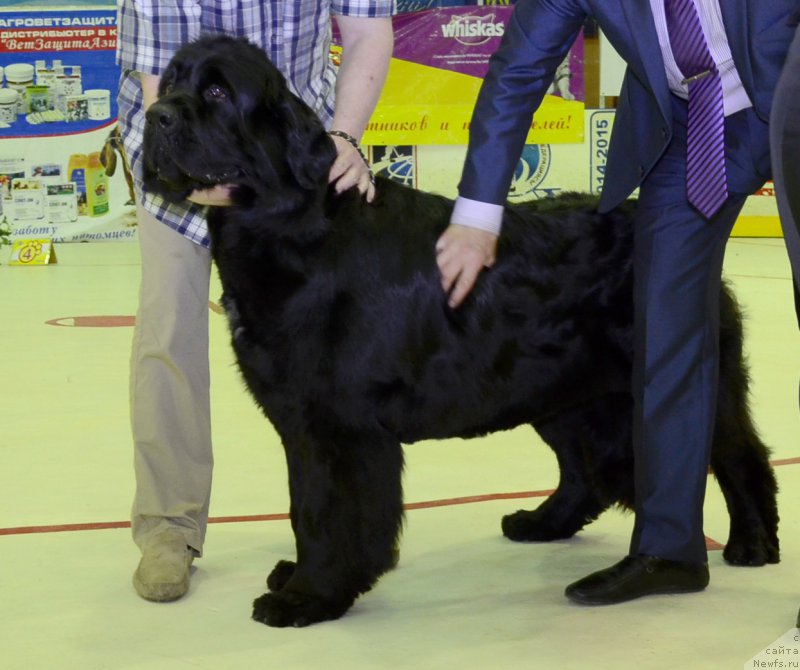 Фотография № 185804