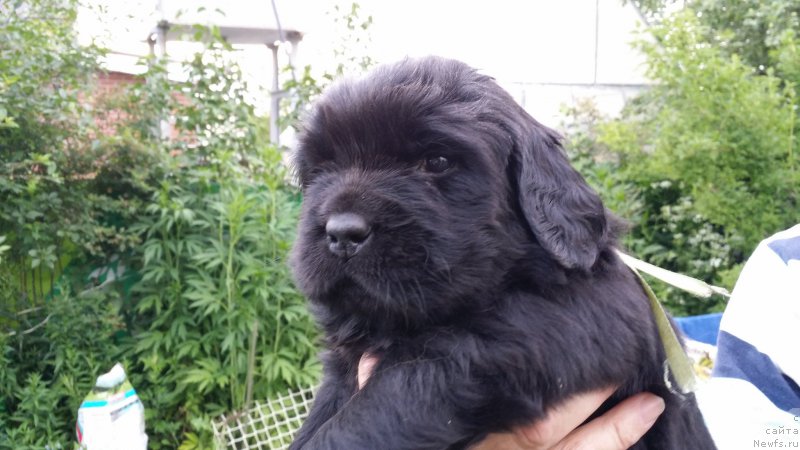 Фото: Дети Джаза и Туси