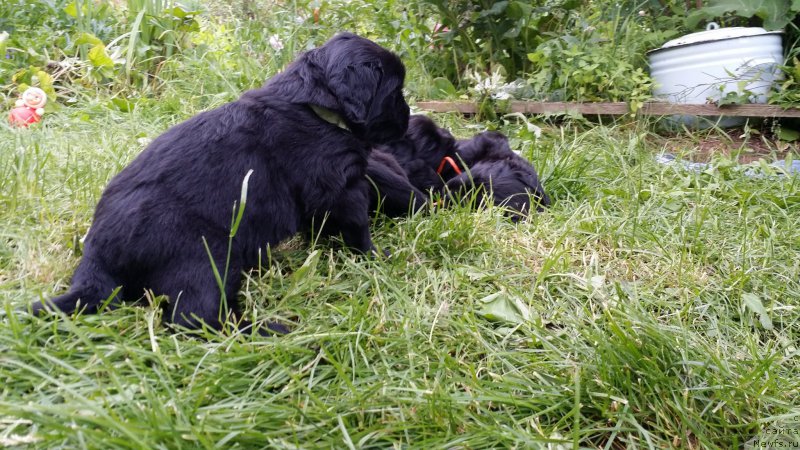 Фото: Дети Джаза и Туси