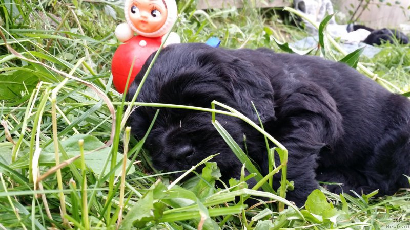 Фото: Дети Джаза и Туси