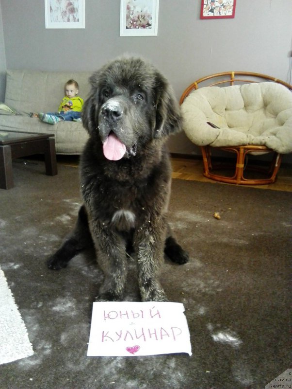 Фотография № 185829