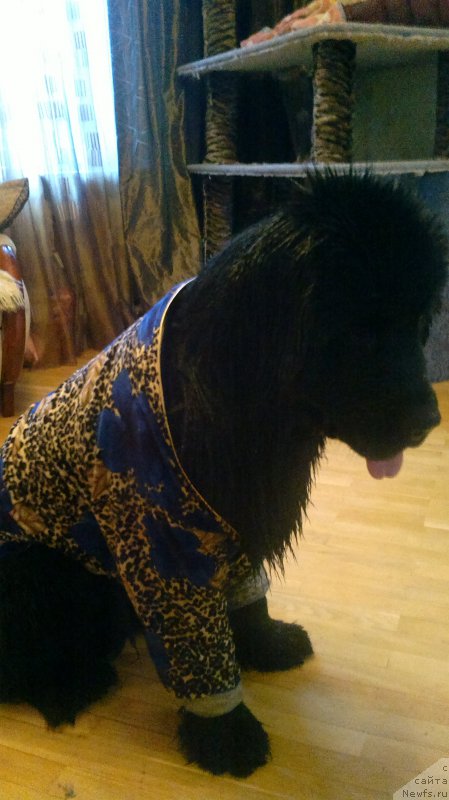 Фотография № 185830