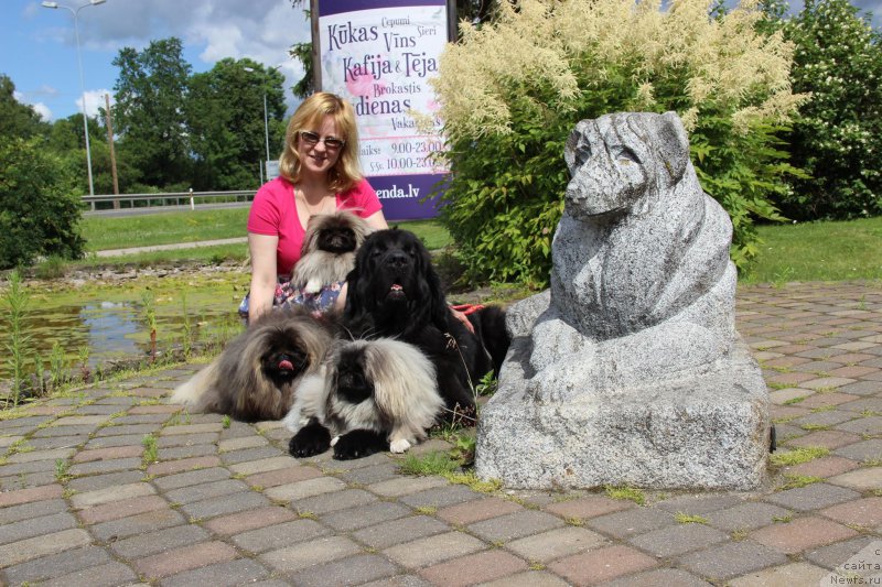 Фото: ньюфаундленд Smigar Legenda Vesny (Смигар Легенда Весны), Larisa Basharova (Лариса Башарова), и сопровождающие их пекинесы!