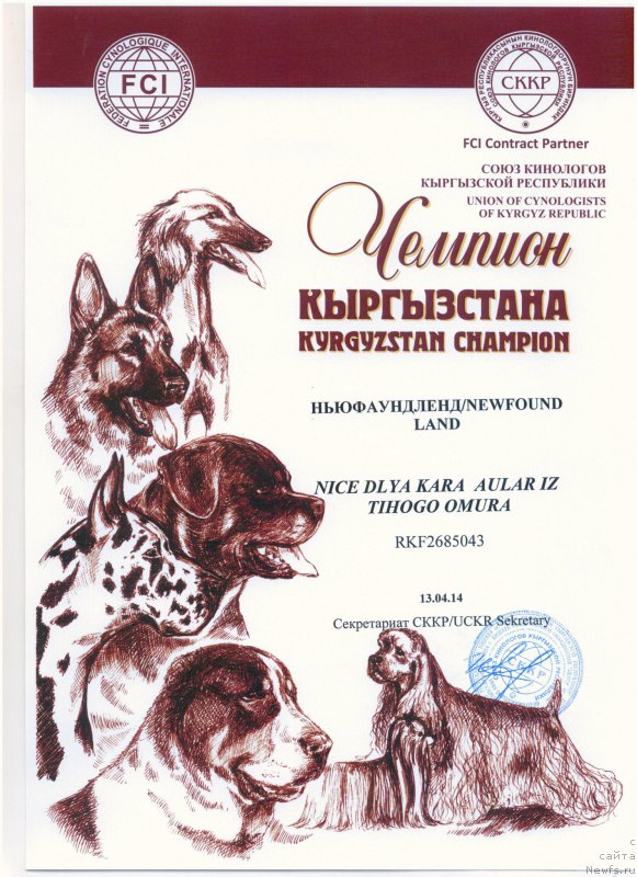 Фотография № 185839