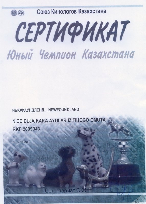 Фотография № 185840