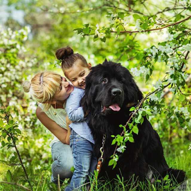 Фото: Кара Аюлар Де Тревиль Капитан