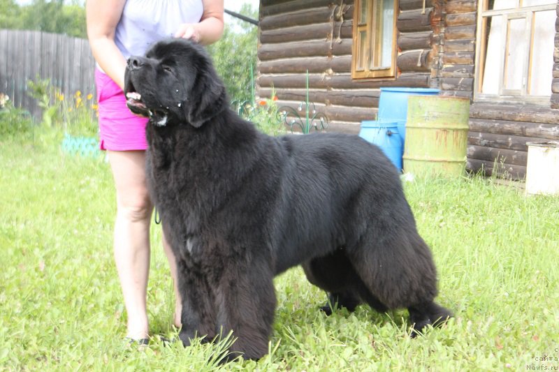 Фотография № 185856