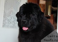 Фотография № 185863