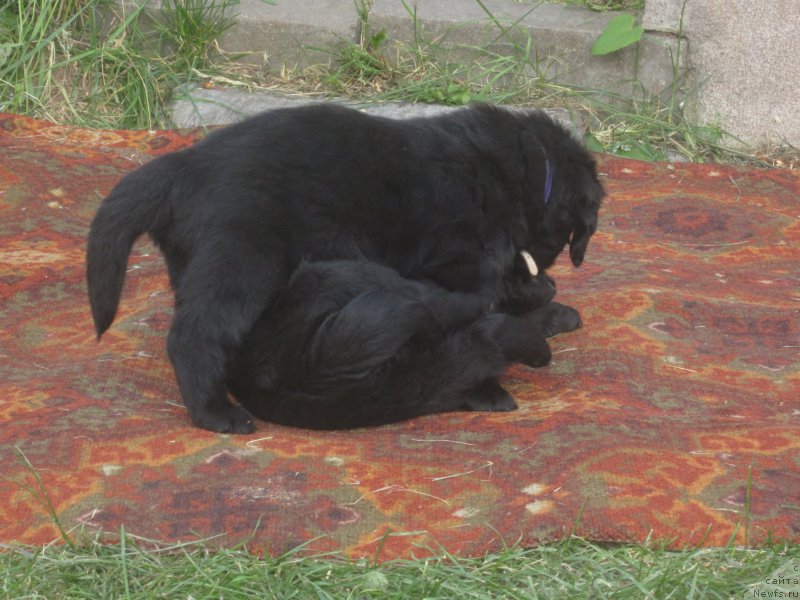 Фото: Natal'ya Smazchikova (Наталья Смазчикова)