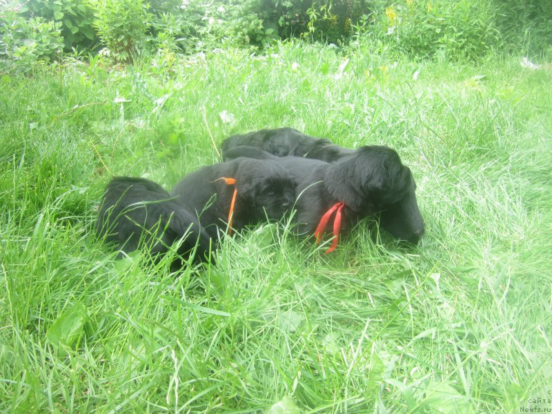 Фото: Natal'ya Smazchikova (Наталья Смазчикова)