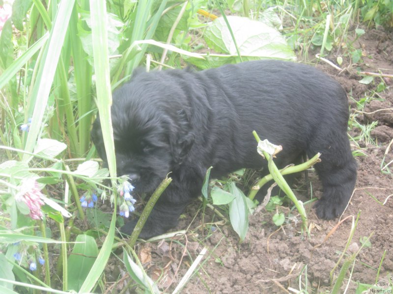 Фото: Natal'ya Smazchikova (Наталья Смазчикова)