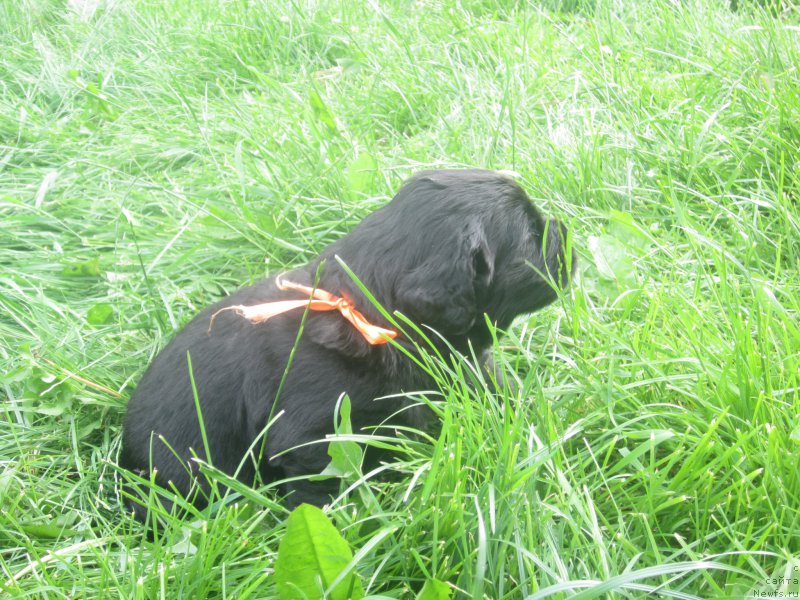 Фото: Natal'ya Smazchikova (Наталья Смазчикова)