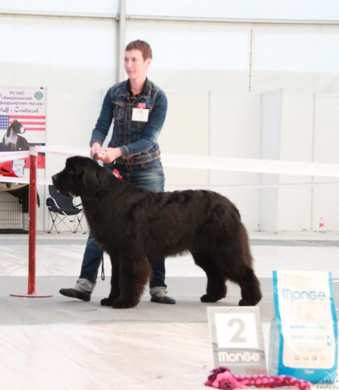 Фотография № 185937