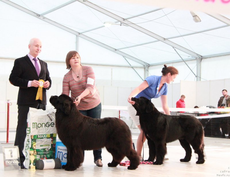 Фотография № 185939