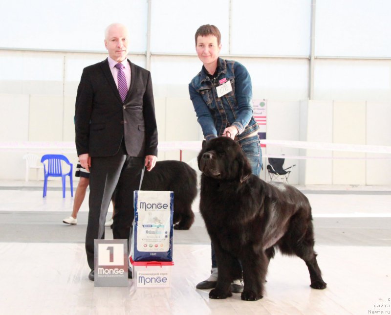 Фотография № 185946