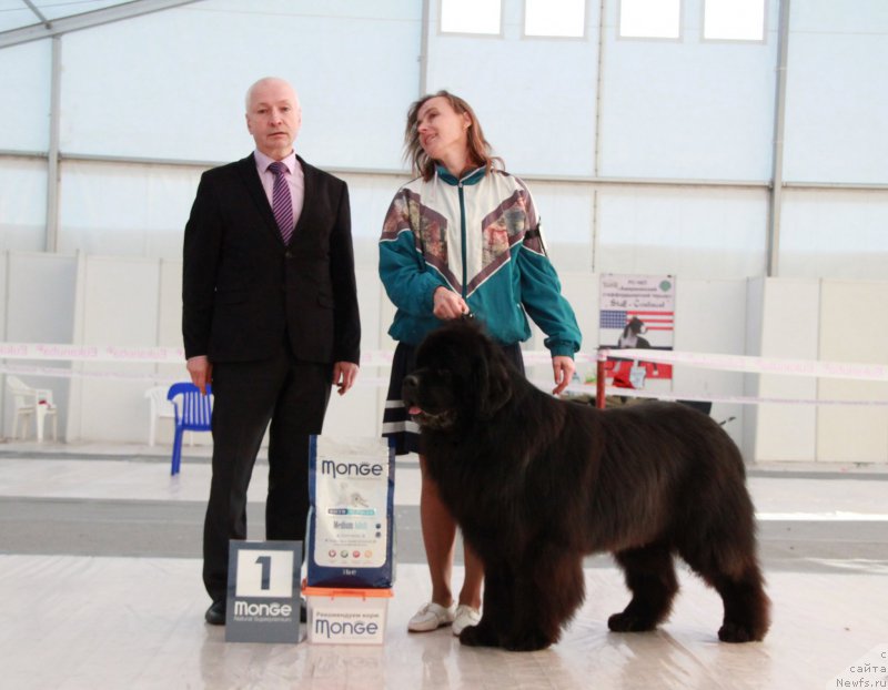 Фотография № 185949