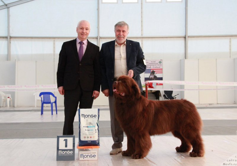 Фотография № 185951