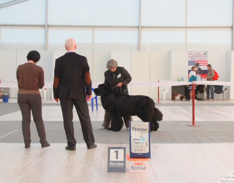 Фотография № 185952