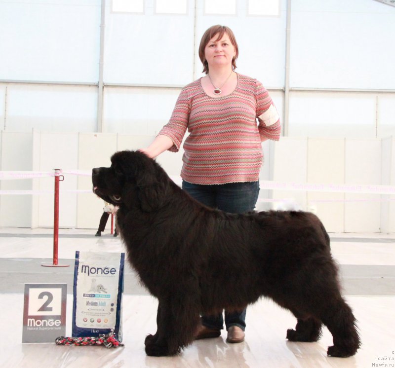 Фотография № 185953