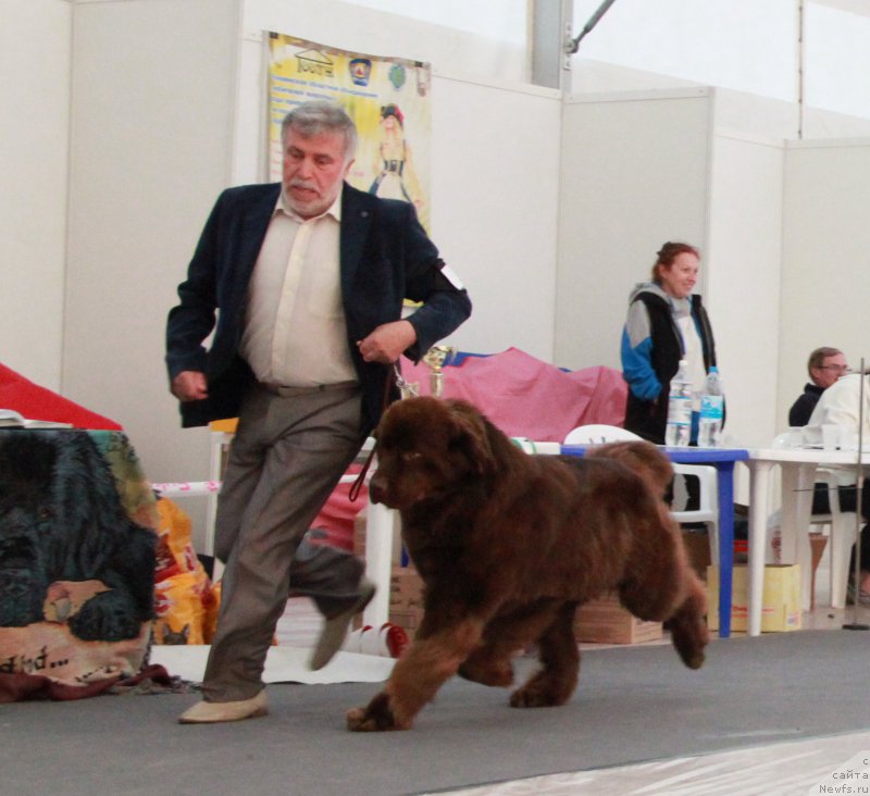 Фотография № 185955