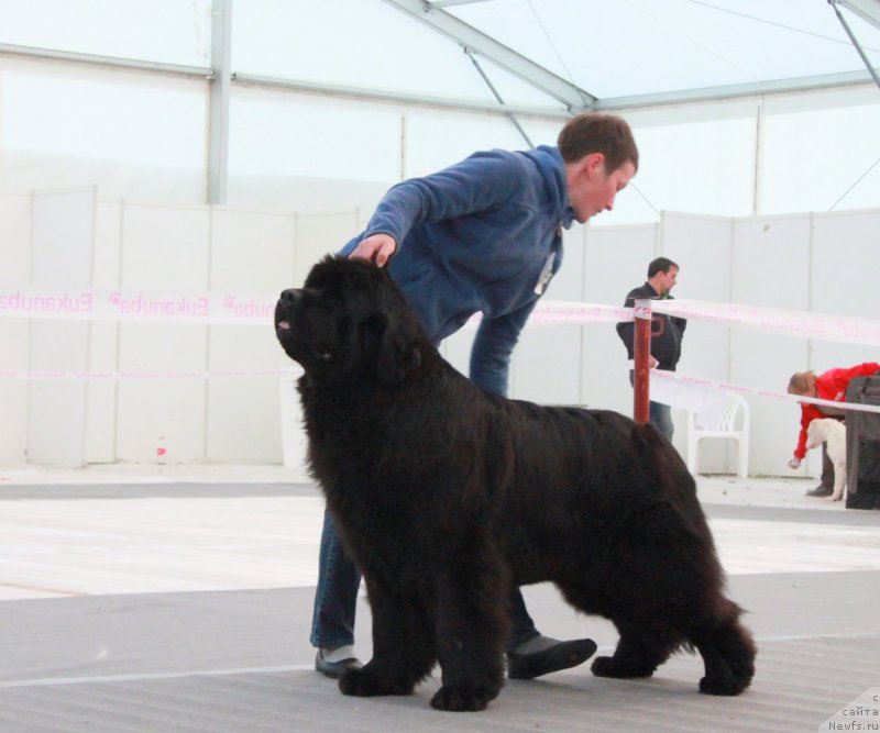 Фотография № 185956