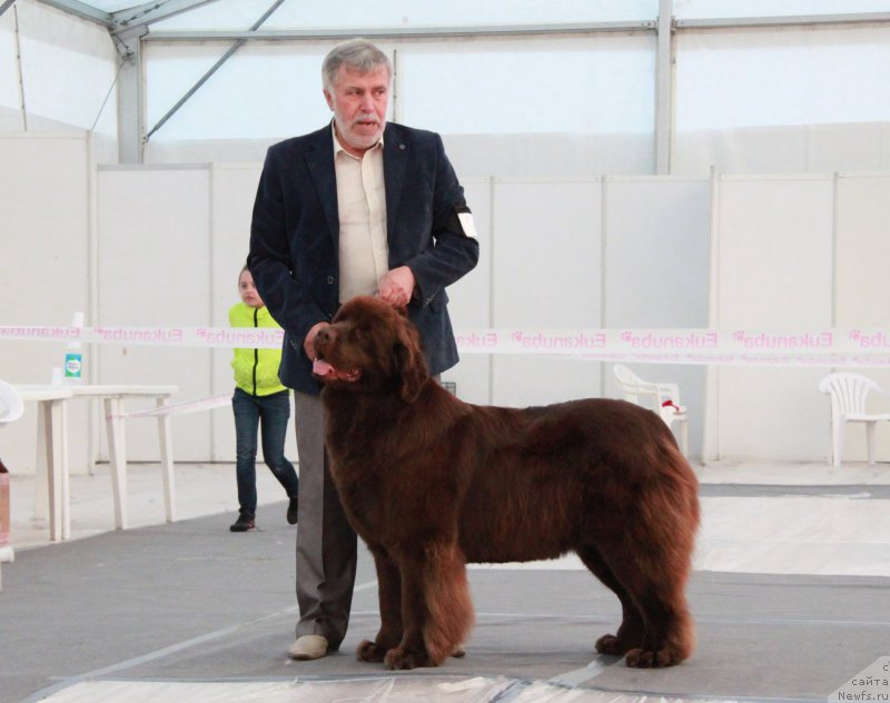 Фотография № 185958