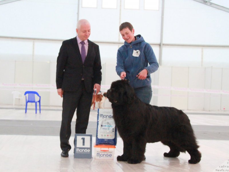 Фотография № 185959