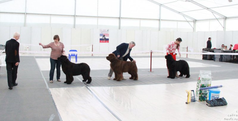 Фотография № 185967