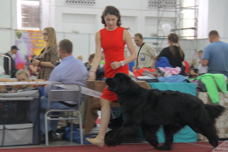 Фотография № 185979