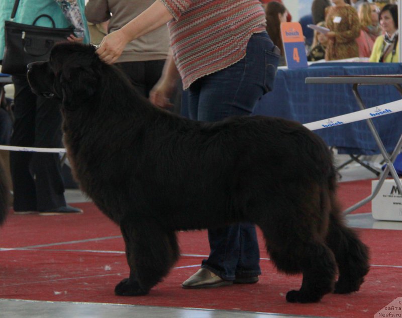 Фотография № 185980