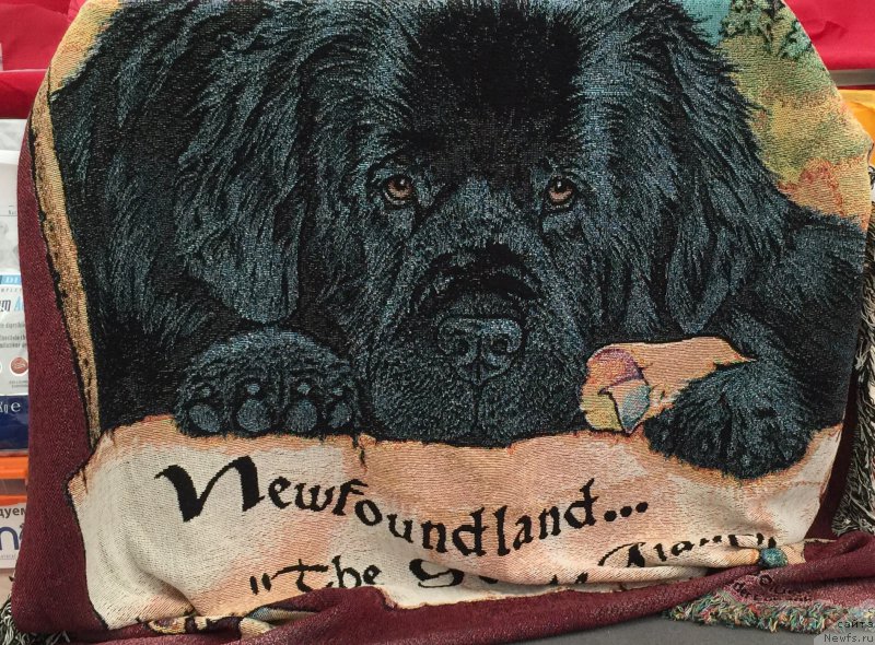 Фотография № 185981