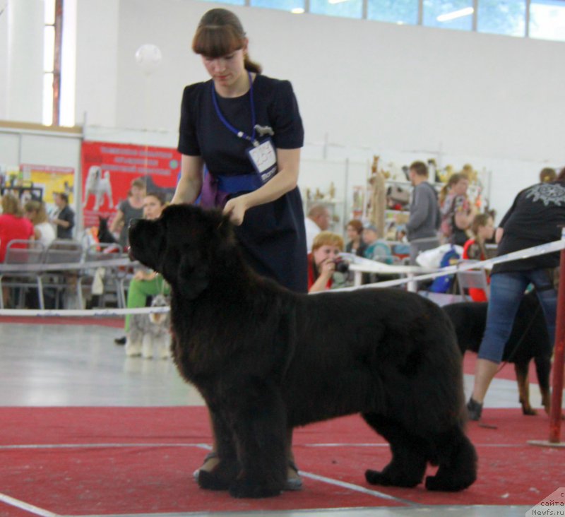 Фотография № 185983