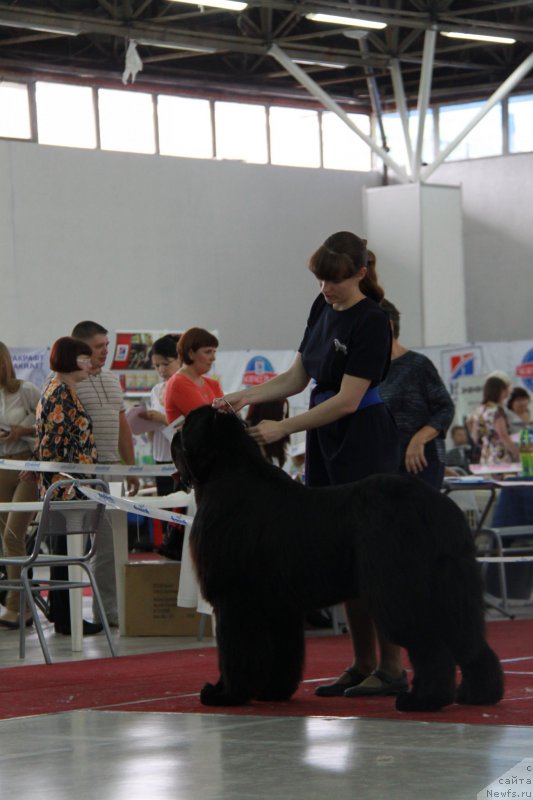 Фотография № 185985