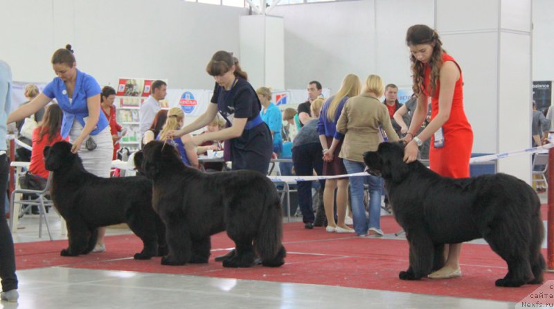 Фотография № 185988