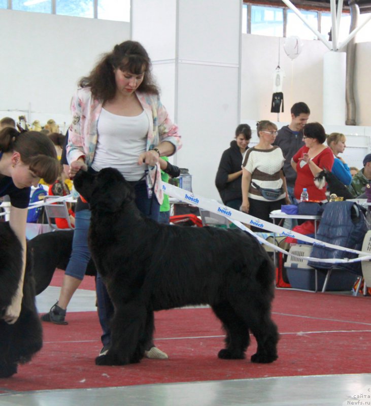 Фотография № 185989