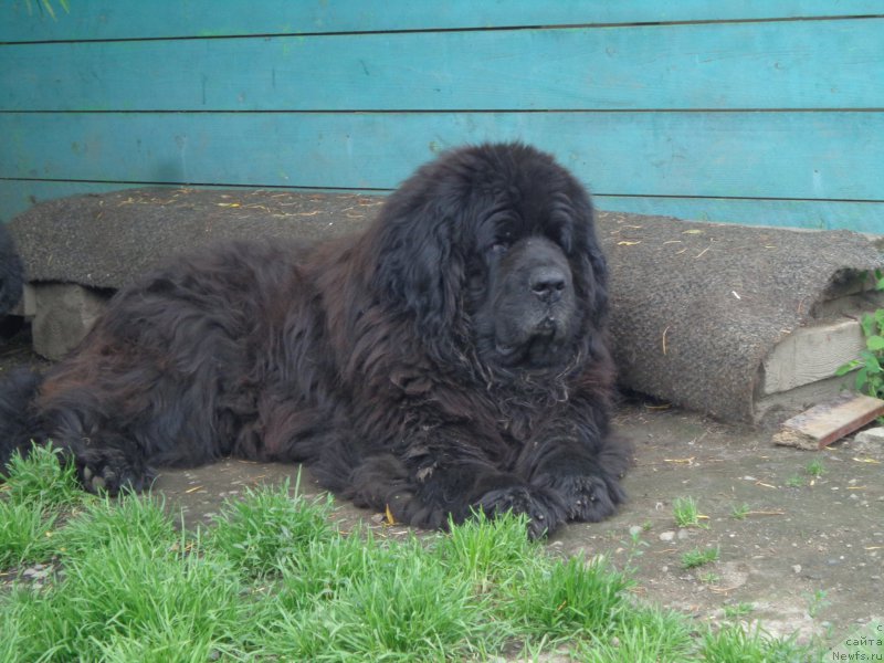 Фотография № 185999