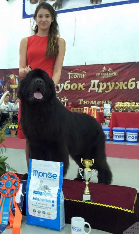 Фотография № 186010