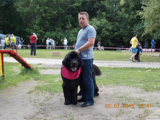 Фотография № 186017