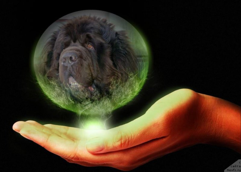 Фотография № 186023