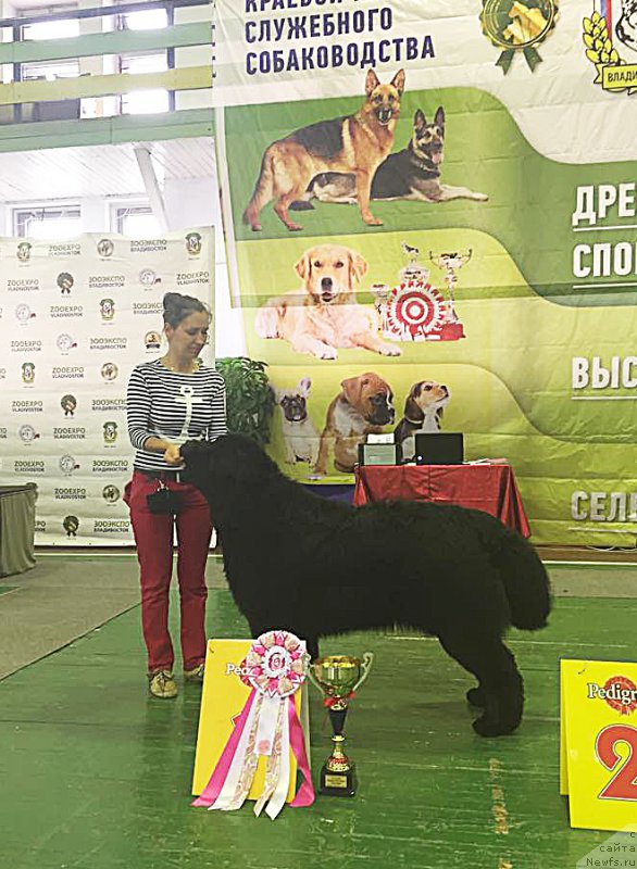 Фото: Бегущая по волнам ЧЕК ПОЙНТ