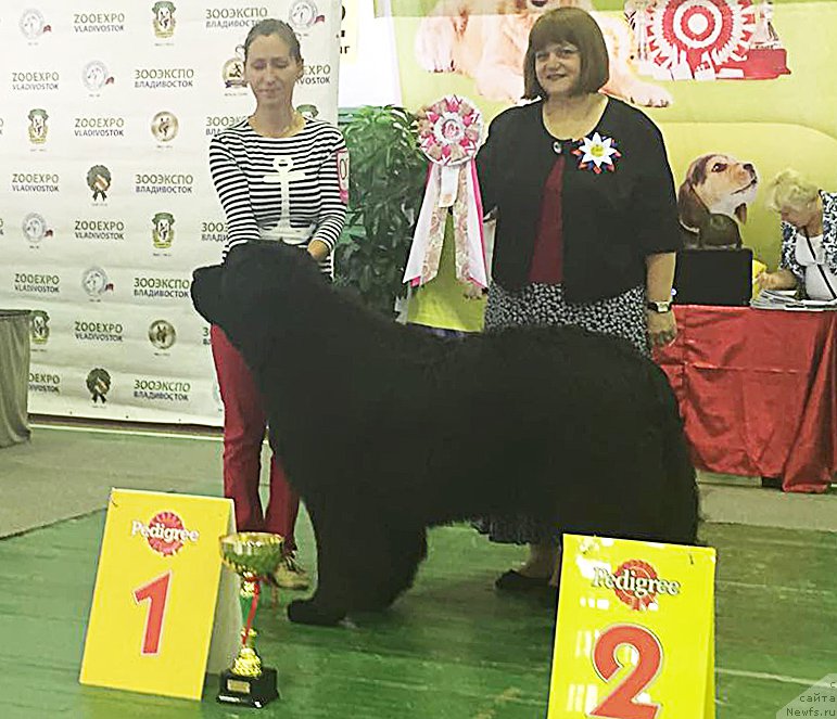 Фото: Бегущая по волнам ЧЕК ПОЙНТ