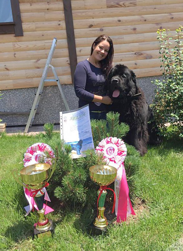 Фото: Бегущая по волнам ЧЕК ПОЙНТ