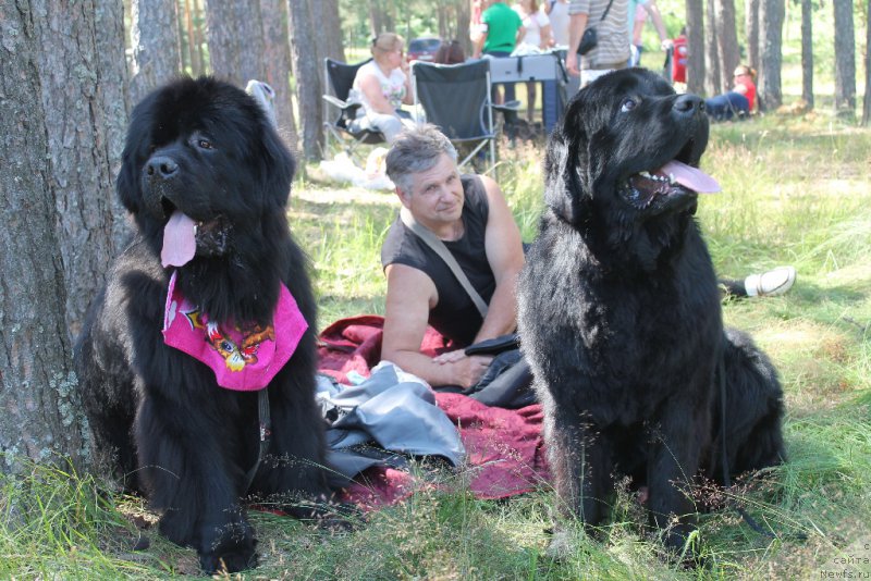 Фотография № 186074