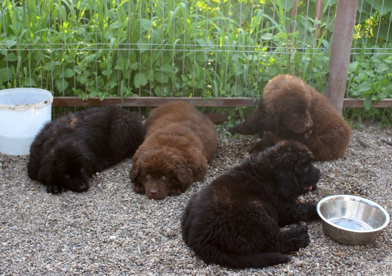 Фотография № 186080