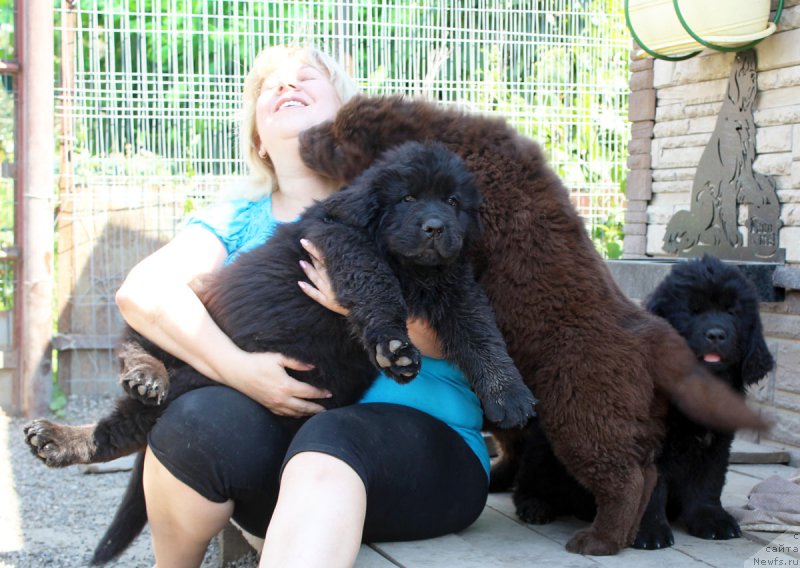 Фотография № 186082