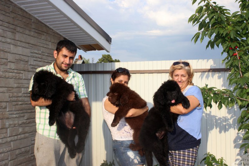 Фотография № 186086